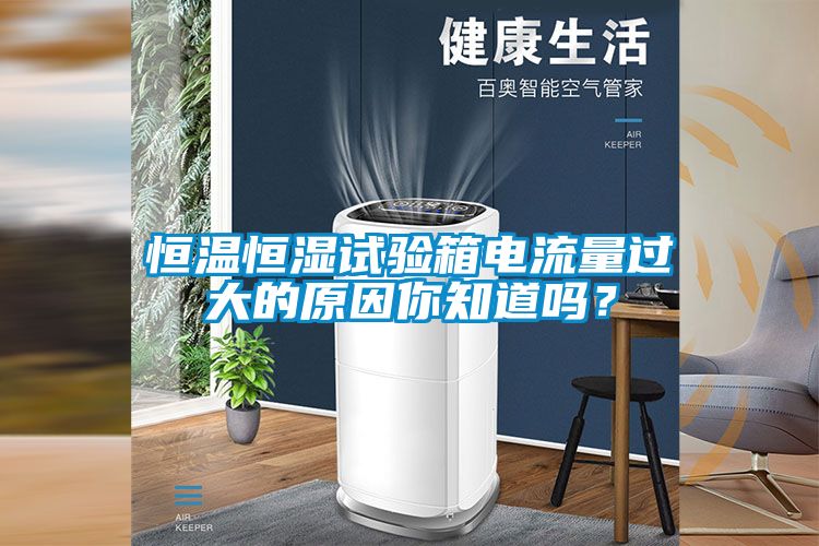 恒溫恒濕試驗箱電流量過大的原因你知道嗎？
