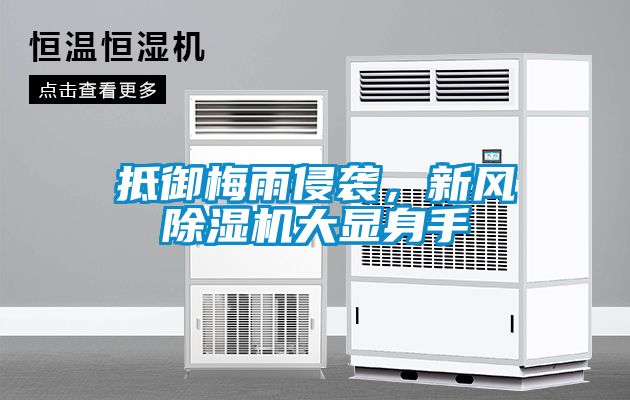 抵御梅雨侵襲，新風除濕機大顯身手