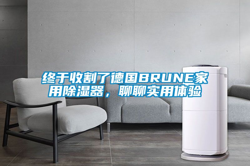 終于收割了德國BRUNE家用除濕器，聊聊實用體驗