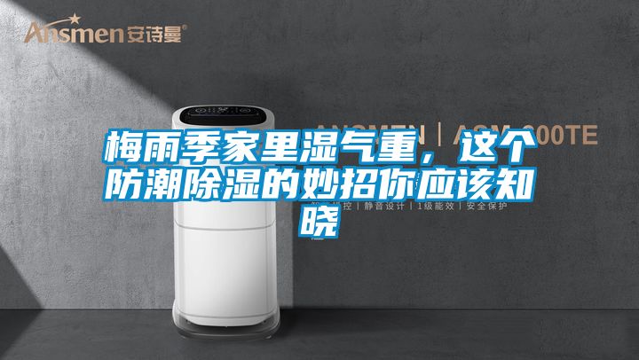 梅雨季家里濕氣重，這個防潮除濕的妙招你應該知曉