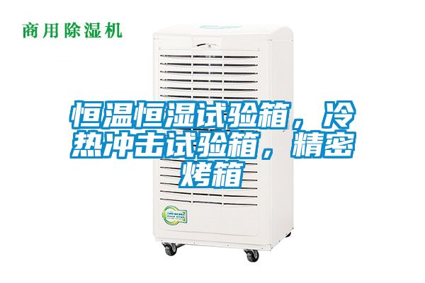 恒溫恒濕試驗箱，冷熱沖擊試驗箱，精密烤箱