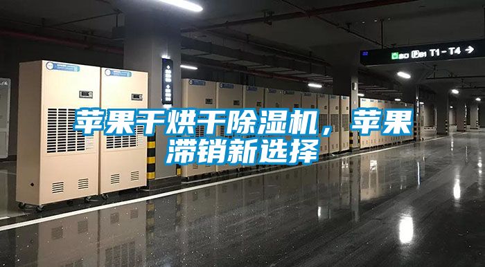 蘋果干烘干除濕機，蘋果滯銷新選擇