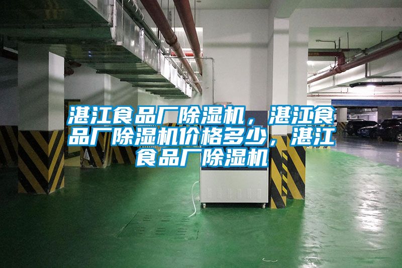 湛江食品廠除濕機，湛江食品廠除濕機價格多少，湛江食品廠除濕機