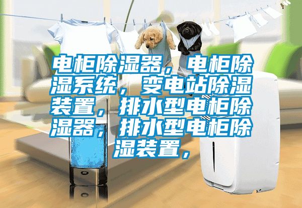 電柜除濕器，電柜除濕系統，變電站除濕裝置，排水型電柜除濕器，排水型電柜除濕裝置，