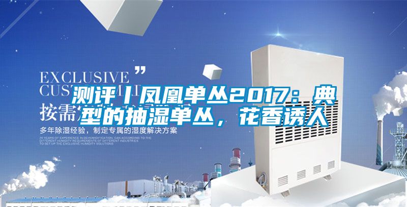 測評丨鳳凰單叢2017：典型的抽濕單叢，花香誘人