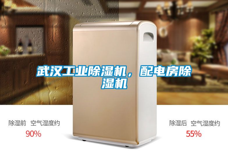 武漢工業除濕機，配電房除濕機