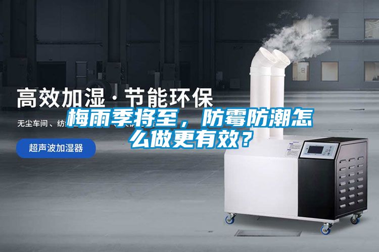 梅雨季將至，防霉防潮怎么做更有效？
