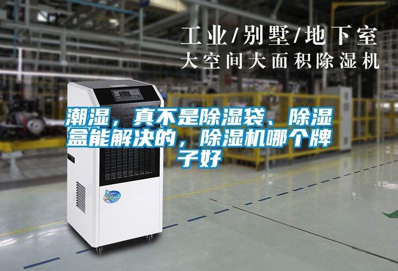 潮濕，真不是除濕袋、除濕盒能解決的，除濕機哪個牌子好