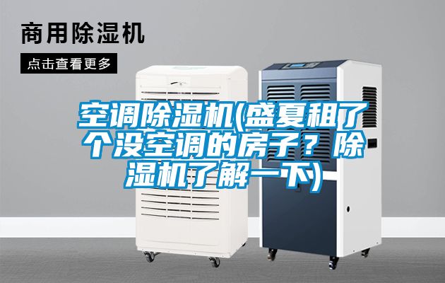 空調除濕機(盛夏租了個沒空調的房子？除濕機了解一下)