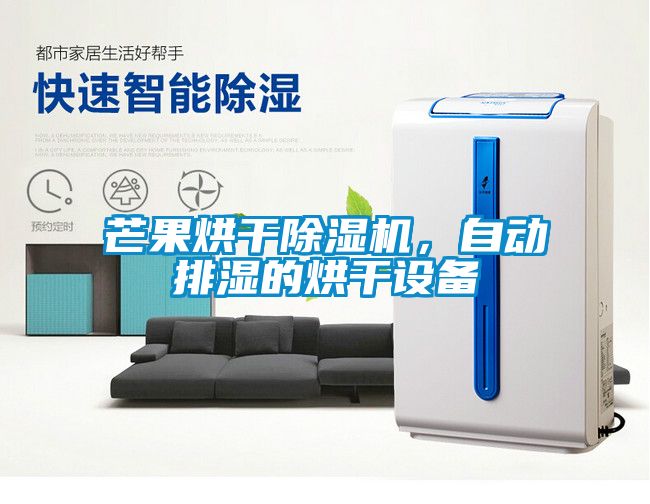 芒果烘干除濕機，自動排濕的烘干設備