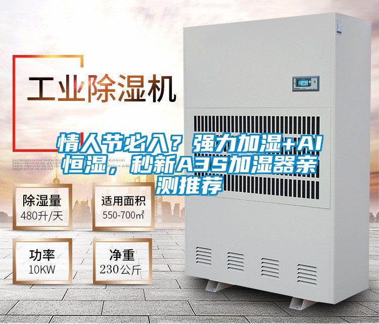 情人節必入？強力加濕+AI恒濕，秒新A3S加濕器親測推薦