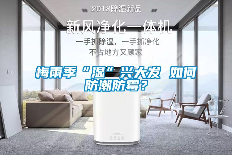 梅雨季“濕”興大發 如何防潮防霉？