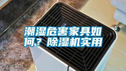 潮濕危害家具如何？除濕機實用