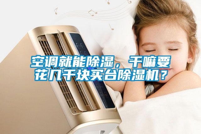 空調就能除濕，干嘛要花幾千塊買臺除濕機？