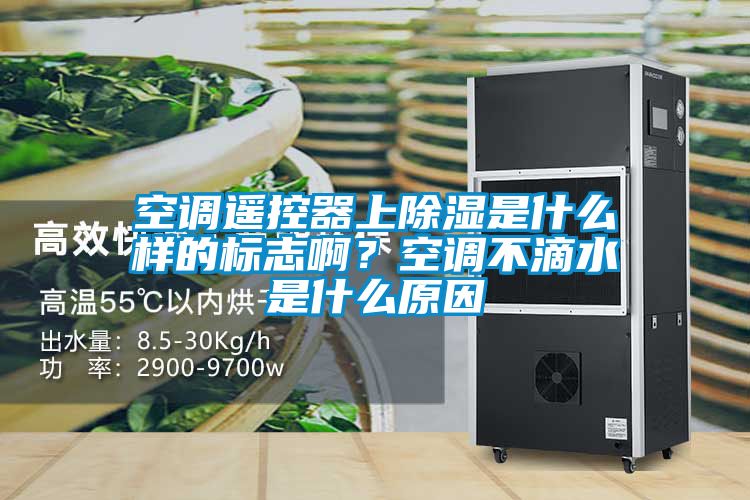 空調遙控器上除濕是什么樣的標志??？空調不滴水是什么原因