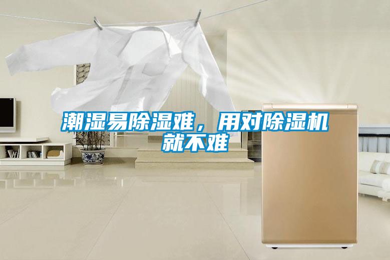 潮濕易除濕難，用對除濕機就不難
