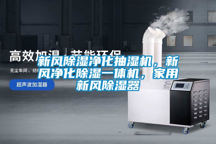 新風除濕凈化抽濕機，新風凈化除濕一體機，家用新風除濕器