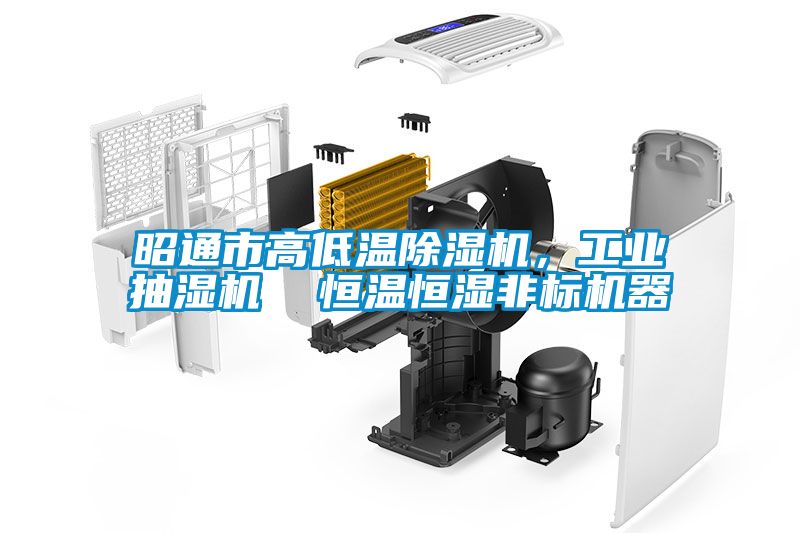 昭通市高低溫除濕機，工業抽濕機  恒溫恒濕非標機器