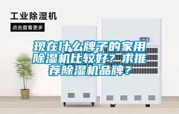 現在什么牌子的家用除濕機比較好？求推薦除濕機品牌？