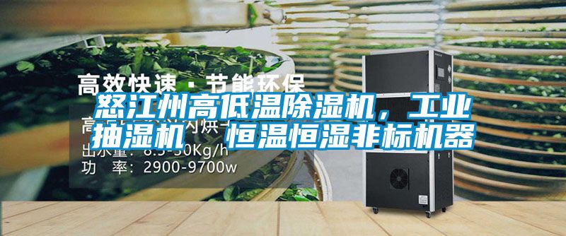 怒江州高低溫除濕機，工業抽濕機  恒溫恒濕非標機器