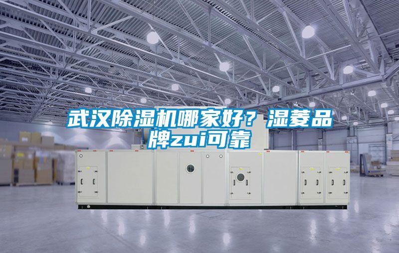 武漢除濕機哪家好？濕菱品牌zui可靠