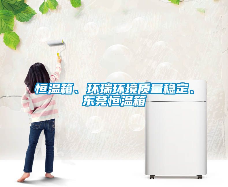 恒溫箱、環瑞環境質量穩定、東莞恒溫箱