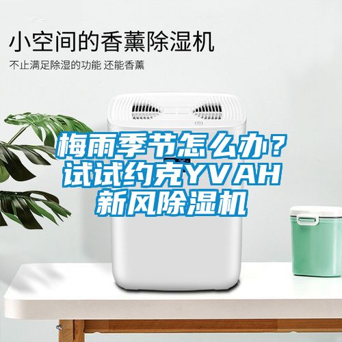梅雨季節怎么辦？試試約克YVAH新風除濕機