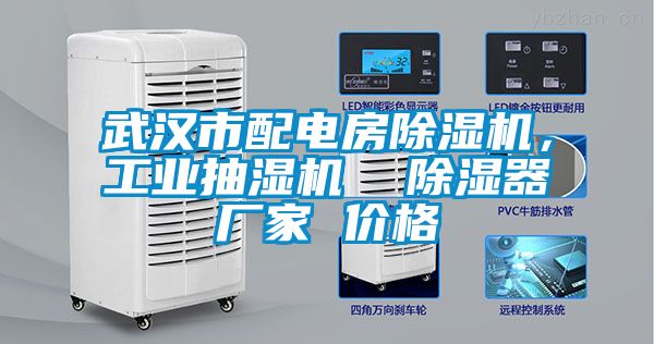 武漢市配電房除濕機，工業抽濕機  除濕器廠家 價格