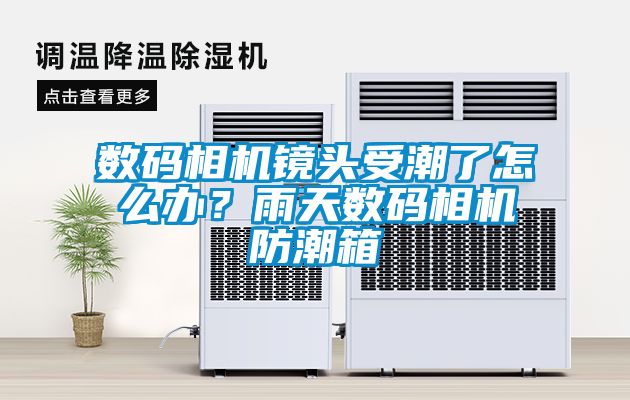 數碼相機鏡頭受潮了怎么辦？雨天數碼相機防潮箱