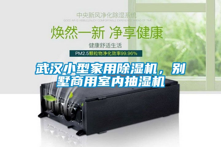 武漢小型家用除濕機，別墅商用室內抽濕機