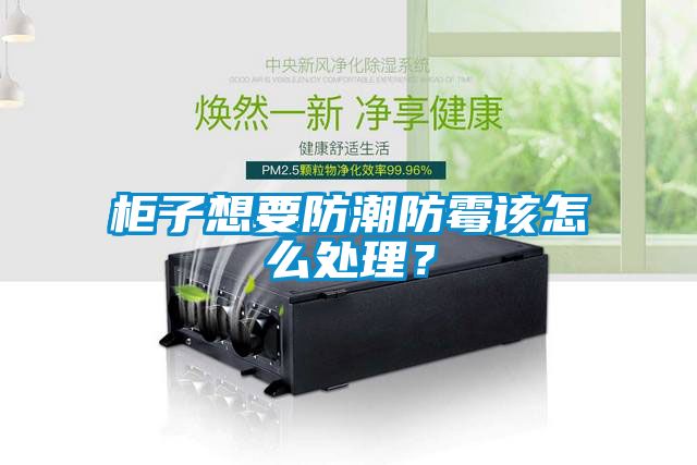 柜子想要防潮防霉該怎么處理？