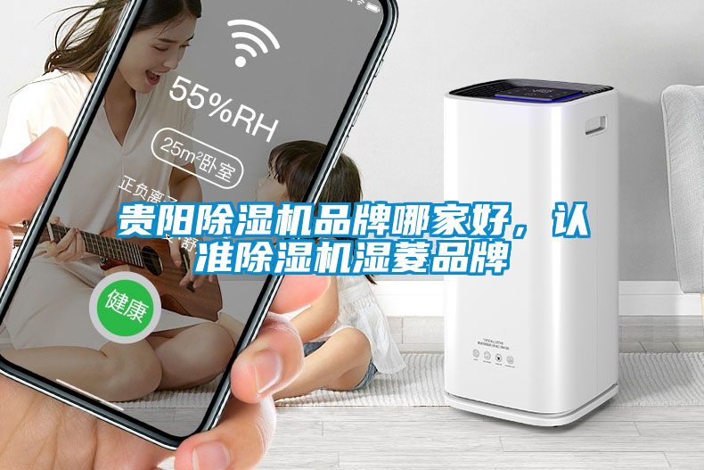 貴陽除濕機品牌哪家好，認準除濕機濕菱品牌