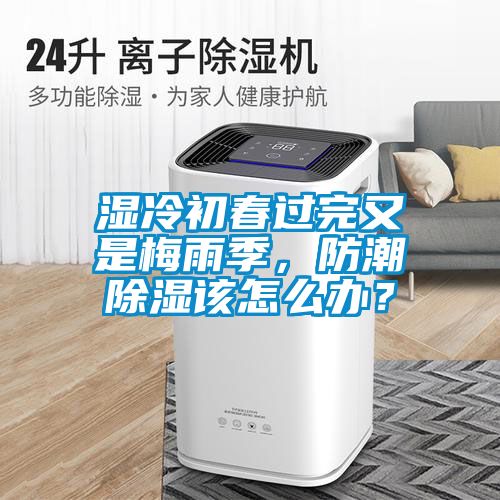 濕冷初春過完又是梅雨季，防潮除濕該怎么辦？