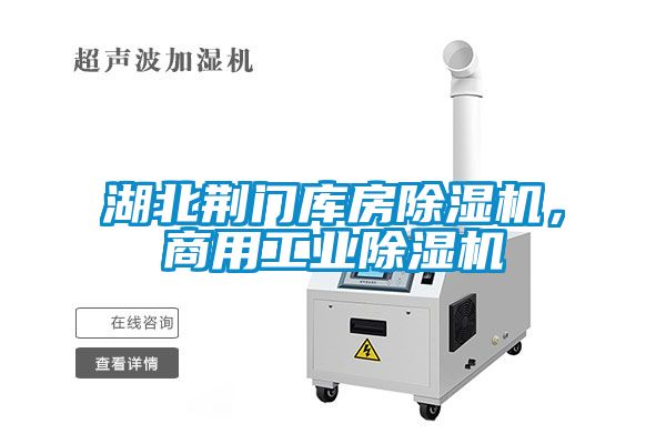 湖北荊門庫房除濕機，商用工業除濕機
