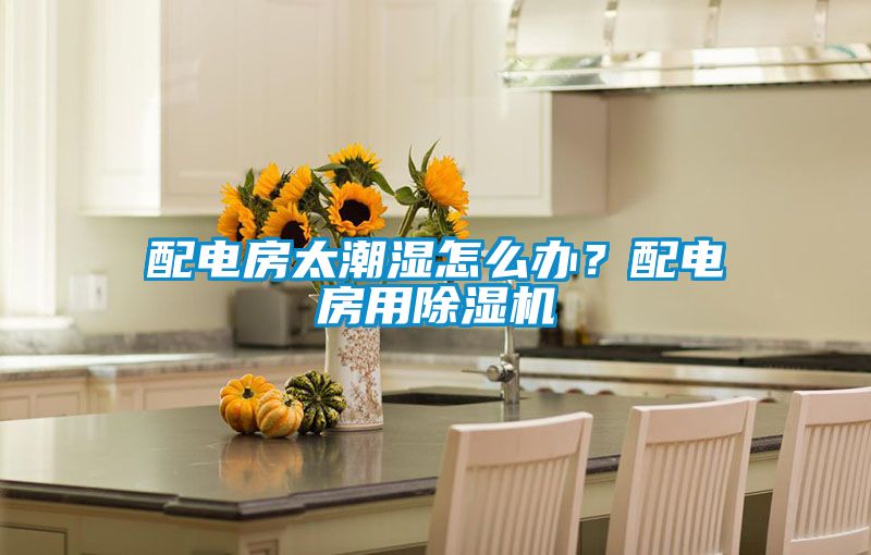 配電房太潮濕怎么辦？配電房用除濕機