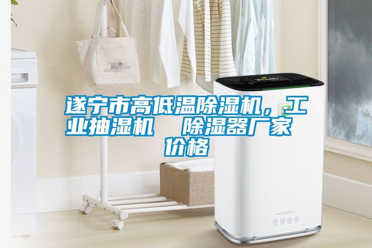 遂寧市高低溫除濕機，工業抽濕機  除濕器廠家 價格