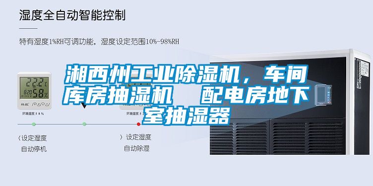 湘西州工業除濕機，車間庫房抽濕機  配電房地下室抽濕器