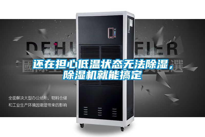 還在擔心低溫狀態無法除濕，除濕機就能搞定