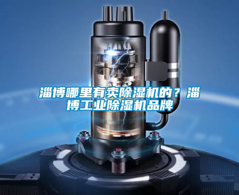 淄博哪里有賣除濕機的？淄博工業除濕機品牌