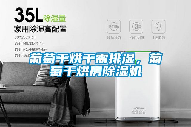 葡萄干烘干需排濕，葡萄干烘房除濕機