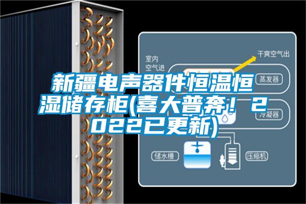 新疆電聲器件恒溫恒濕儲存柜(喜大普奔！2022已更新)