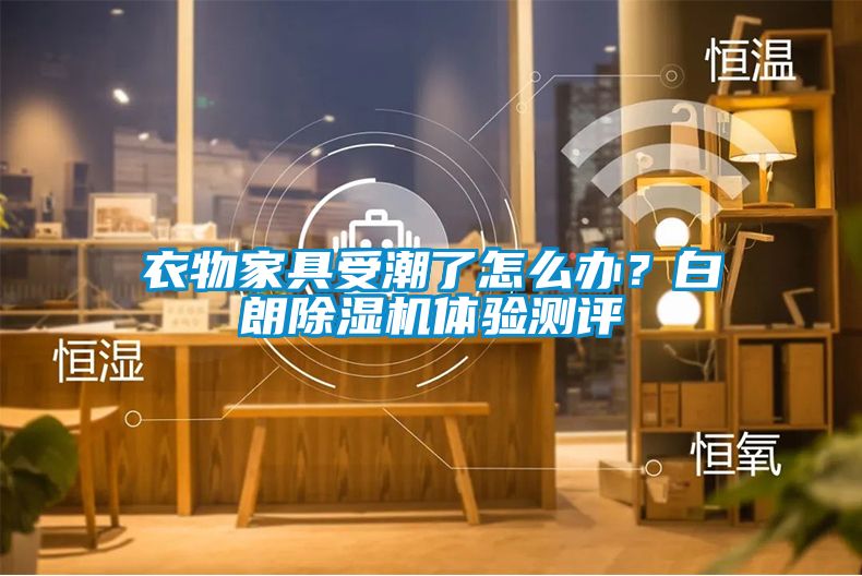 衣物家具受潮了怎么辦？白朗除濕機體驗測評