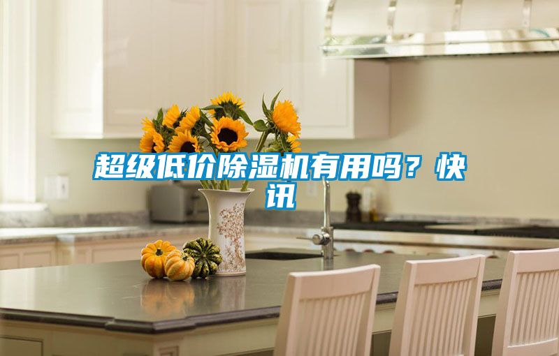 超級低價除濕機有用嗎？快訊