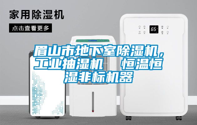 眉山市地下室除濕機，工業抽濕機  恒溫恒濕非標機器