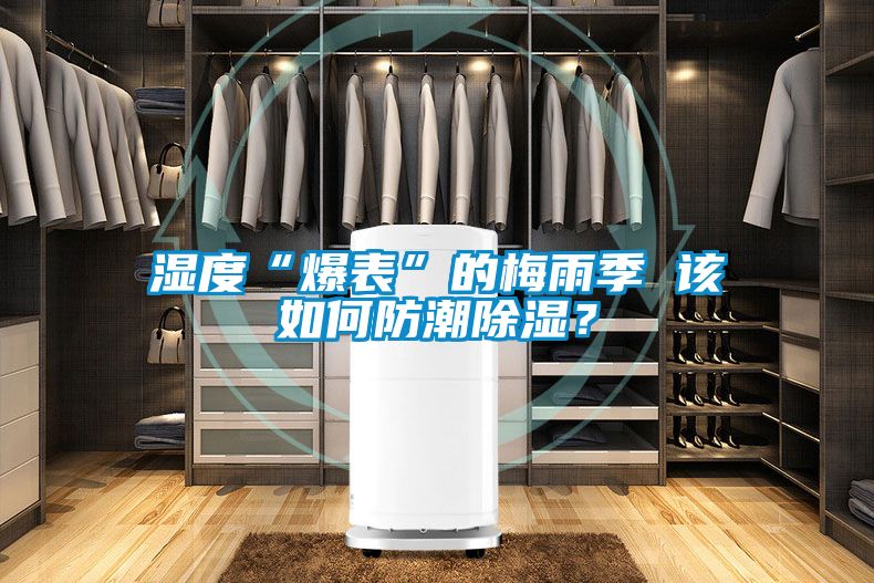濕度“爆表”的梅雨季 該如何防潮除濕？