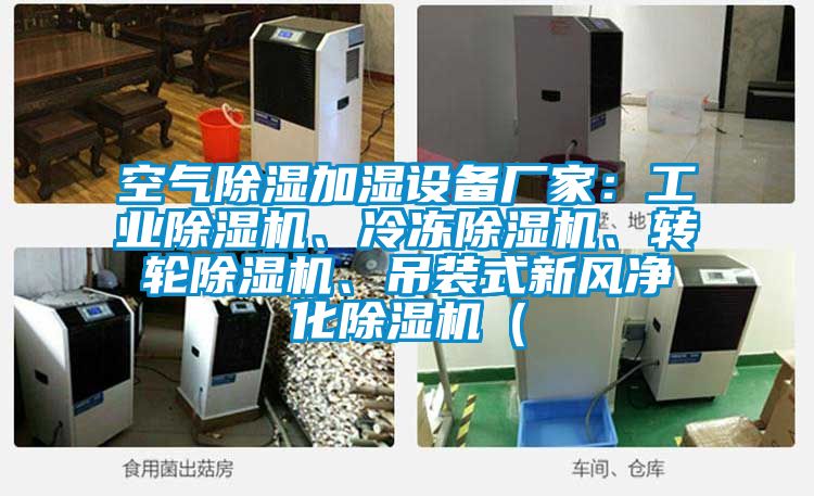 空氣除濕加濕設備廠家：工業除濕機、冷凍除濕機、轉輪除濕機、吊裝式新風凈化除濕機（