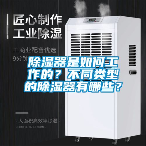 除濕器是如何工作的？不同類型的除濕器有哪些？