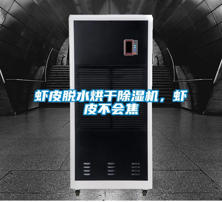 蝦皮脫水烘干除濕機，蝦皮不會焦