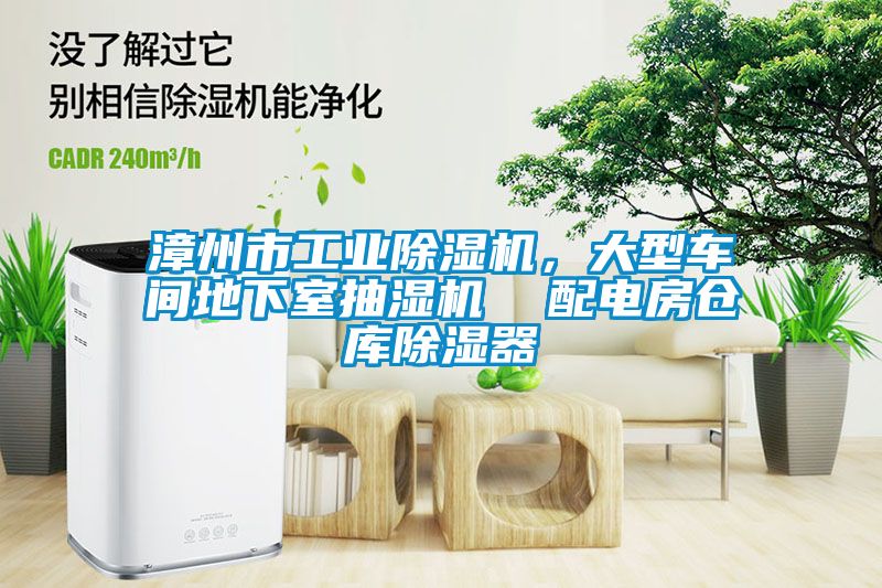 漳州市工業除濕機，大型車間地下室抽濕機  配電房倉庫除濕器