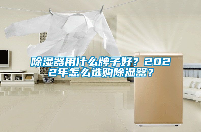 除濕器用什么牌子好？2022年怎么選購除濕器？